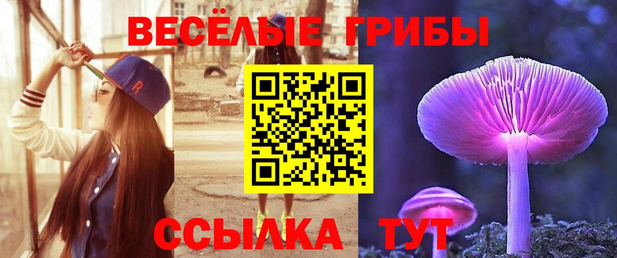 Семилуки  Псилоцибиновые грибы мицелий  Вход с VPN 